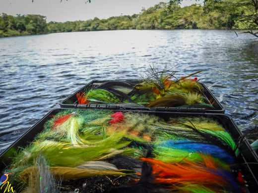 TACKLING UP FOR PEACOCK BASS