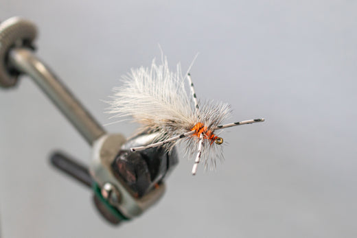 THE SHAMWARI STIMMIE