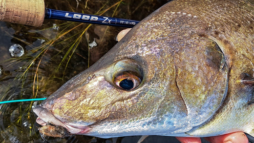 LOOP Z SERIES ROD REVIEW