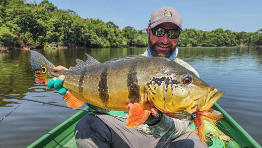 INSANE AMAZON PEACOCK BASS & SO MUCH MORE - A GUIDES REPORT