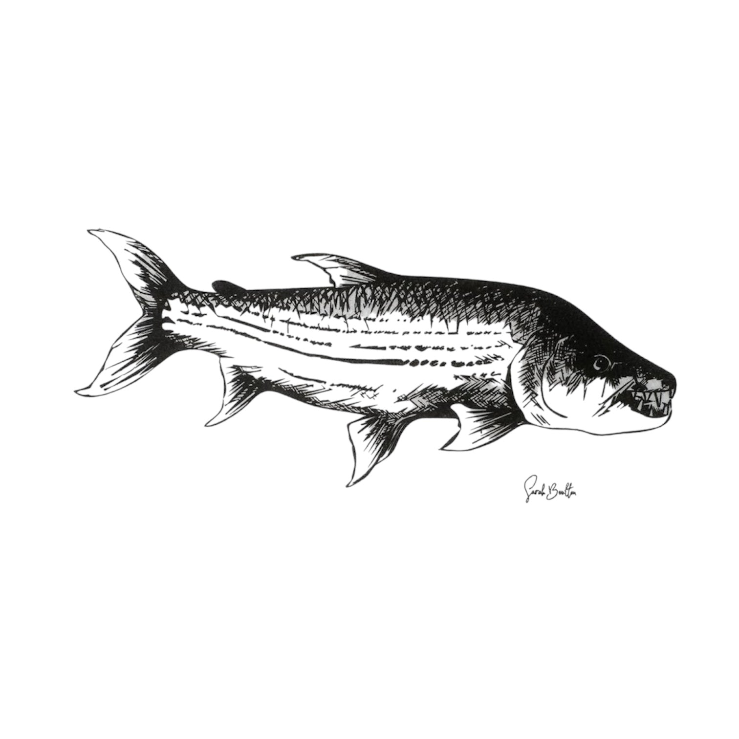 SARAH BOULTON SERVIETTES