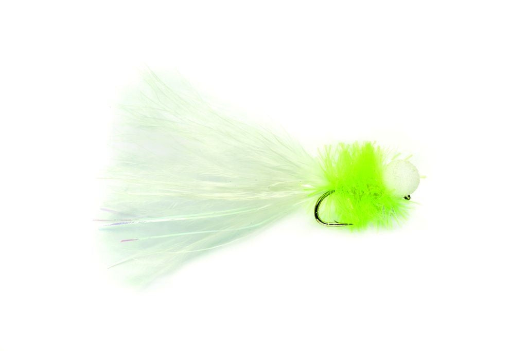 LONG TAILED BOOBY - CAT