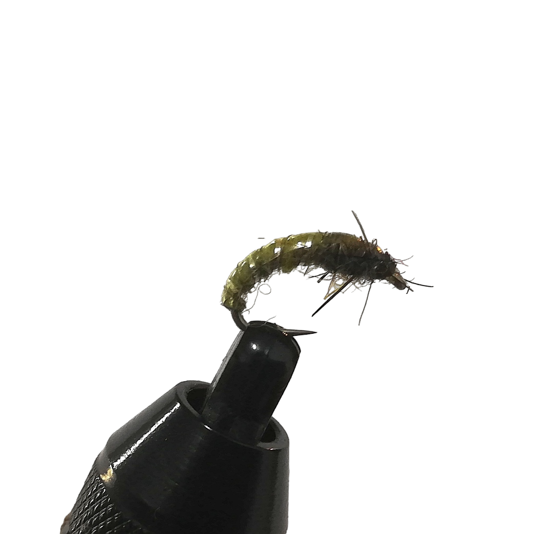 CZECH NYMPH