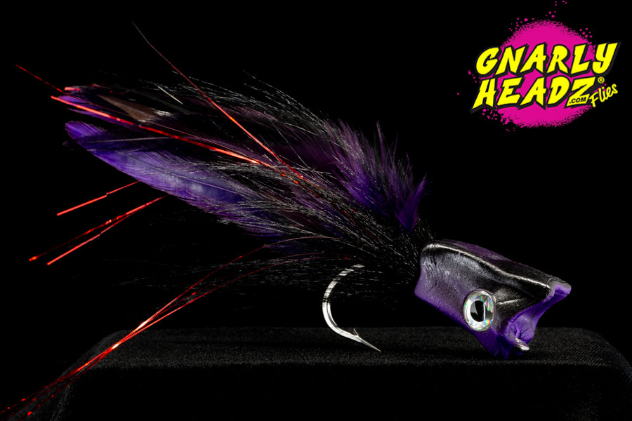 ECHO SOUNDER - BLACK AND PURPLE