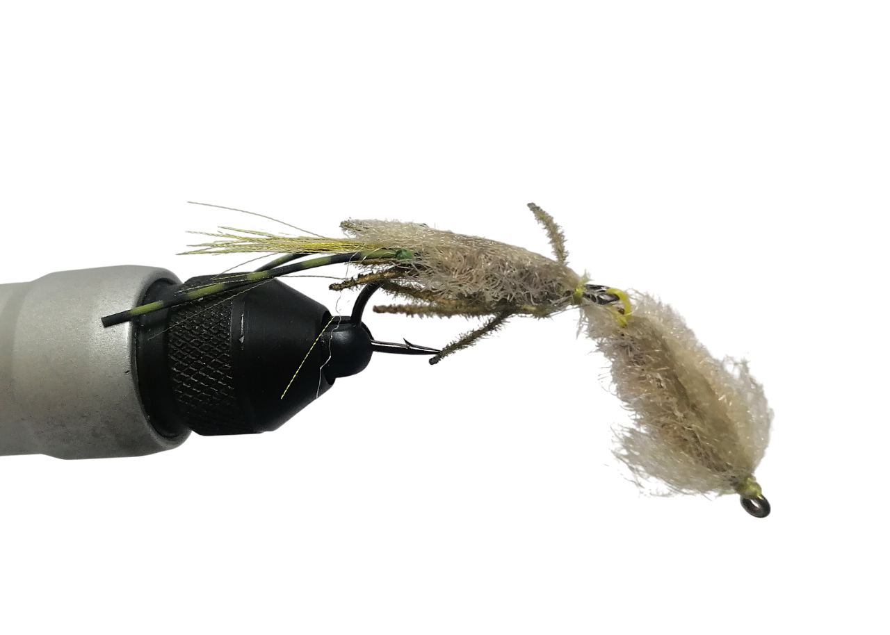 TANDEM GRUNTER PRAWN - BEIGE AND OLIVE