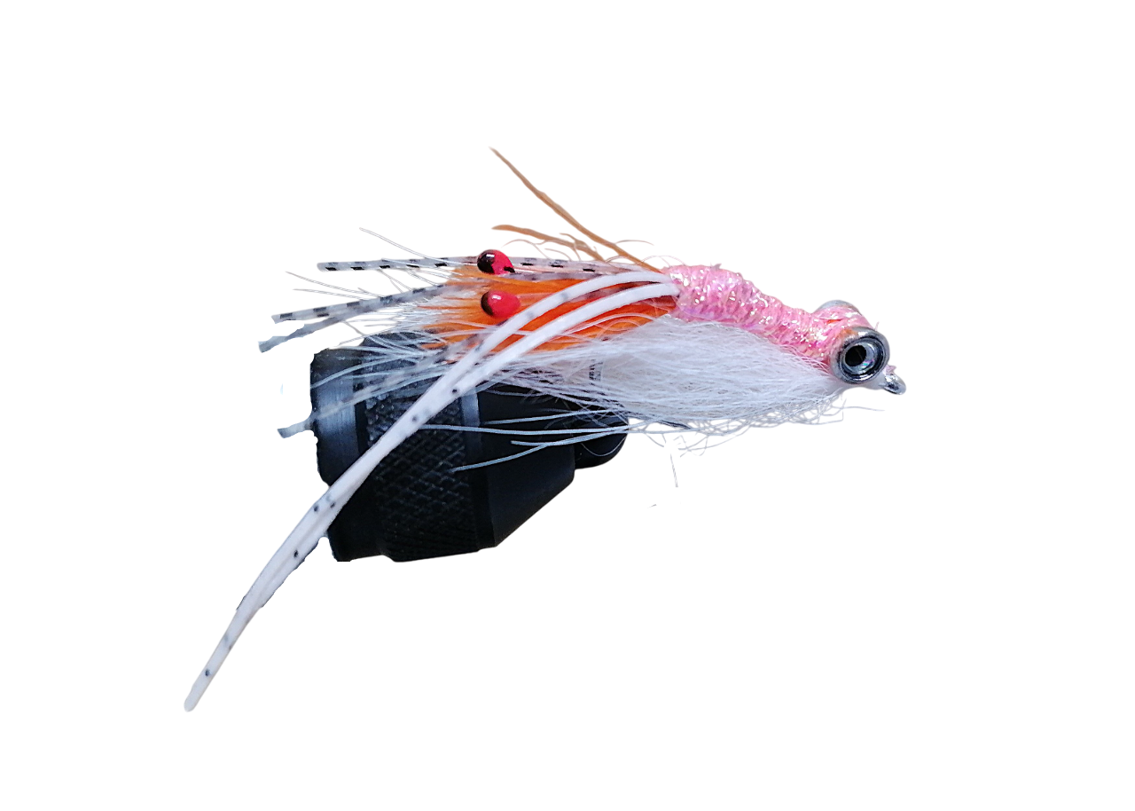 SPAWNING SHRIMP - WHITE