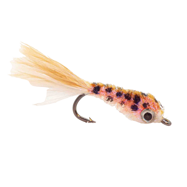 PEARLY MINNOW - BROWN