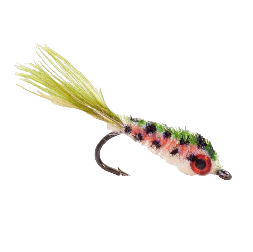 PEARLY MINNOW - RAINBOW