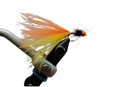 TY'S TADDY WINTER SPECIAL