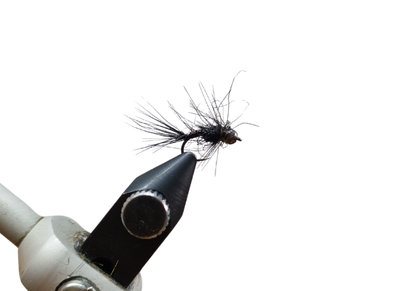 ROSIE'S BLACK STERKIES POISON