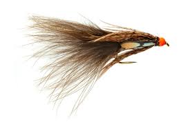 ROZA'S CLEARWATER DARLING