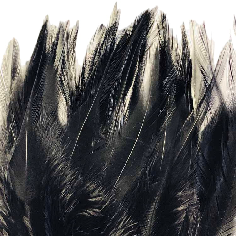 FISHIENT COCK STRUNG SCHLAPPEN