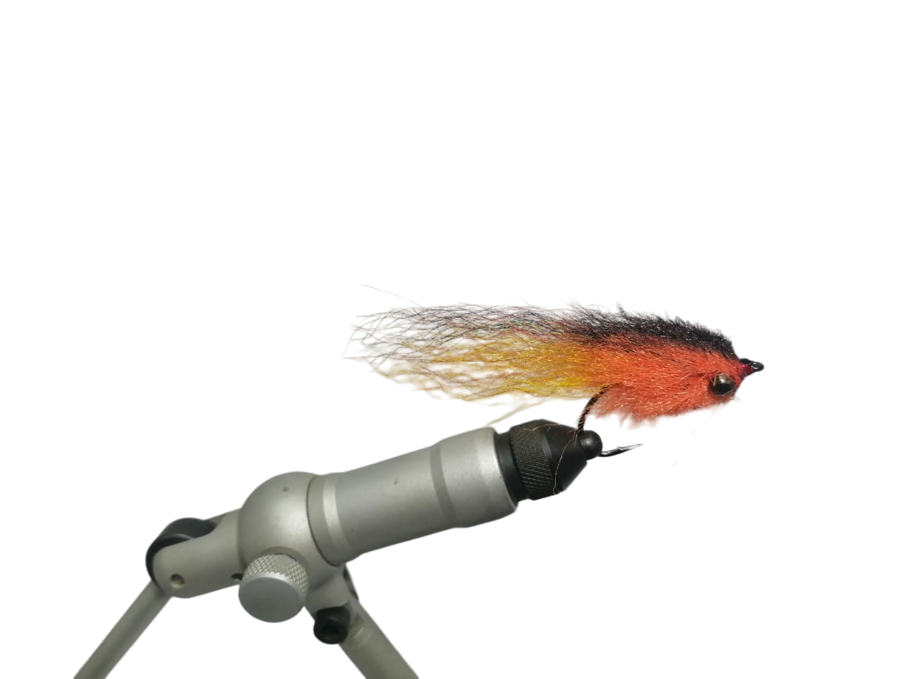 TIGERFISH BRUSH FLY - SUNSET