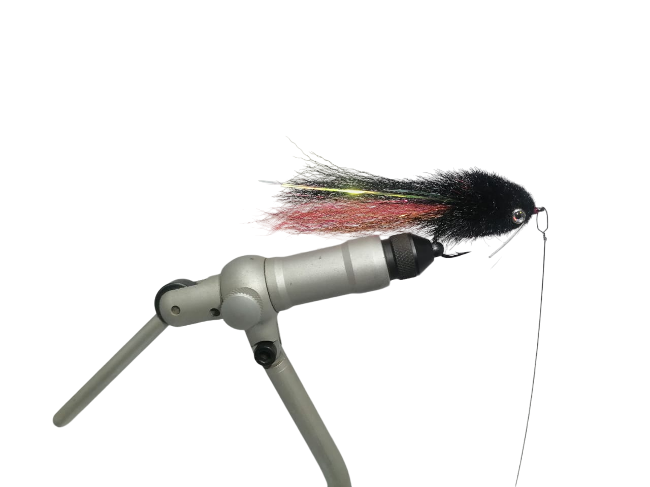 TIGERFISH BRUSH FLY - BLEEDING BLACK