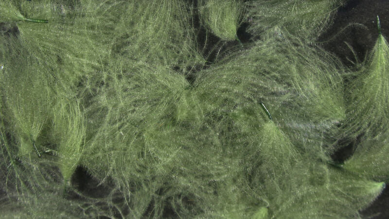 HARELINE CDC OILER PUFFS