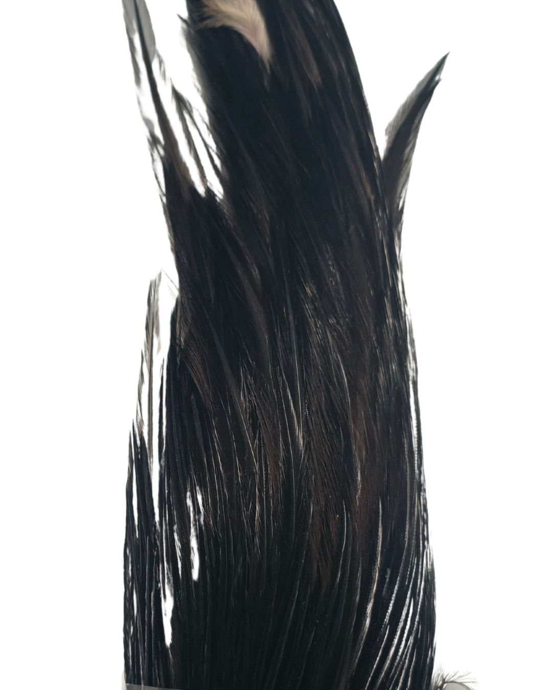 EWING DRY FLY SADDLE HACKLE