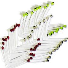 FISHIENT SHRIMP & CRAB EYES