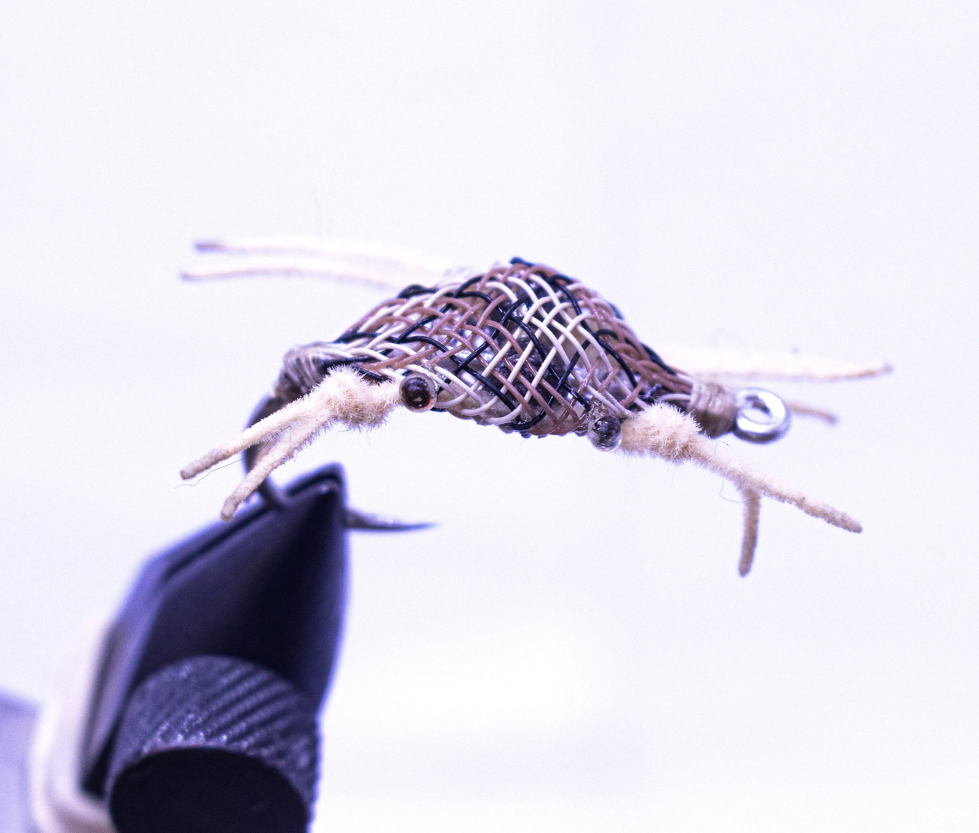 ALPHLEXO - MOTTLED SNAKE