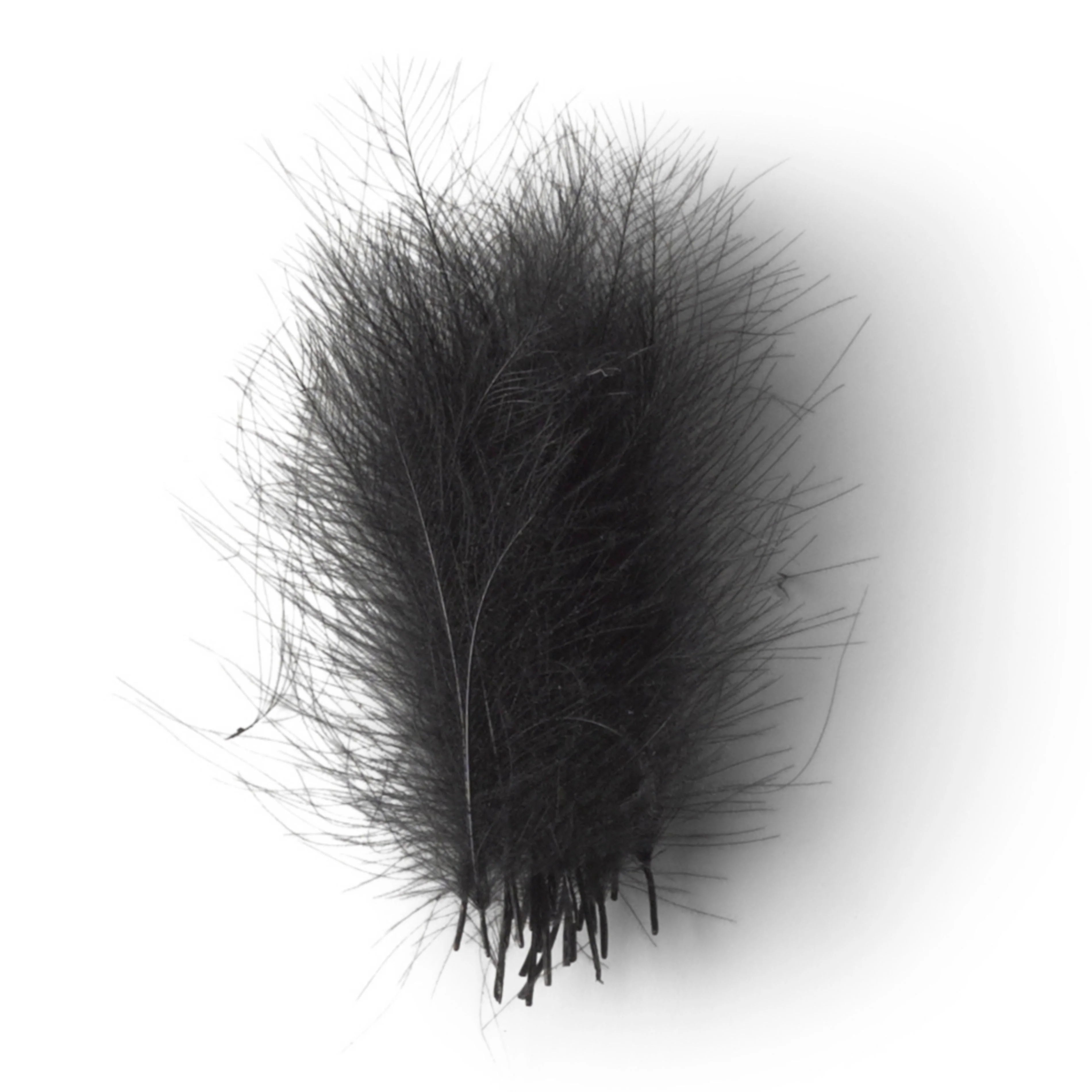 FISHIENT CUL DE CANARD