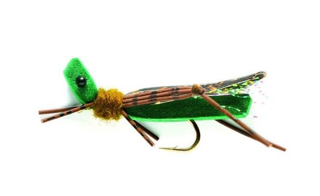 GRASSHOPPER FOAM - OLIVE