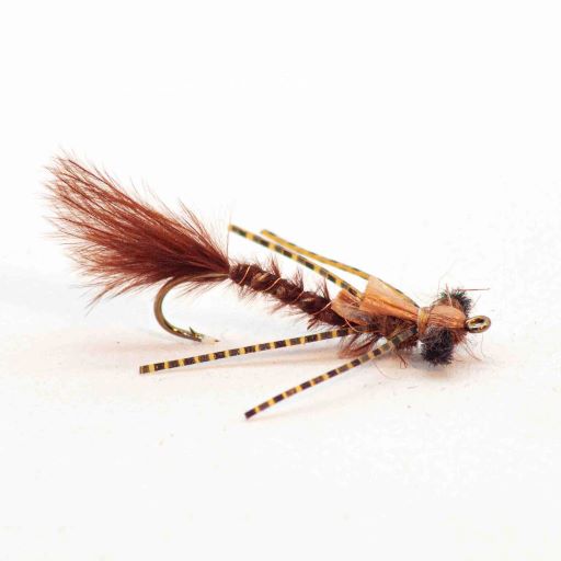 SKINNY RED EYED DAMSEL - BROWN