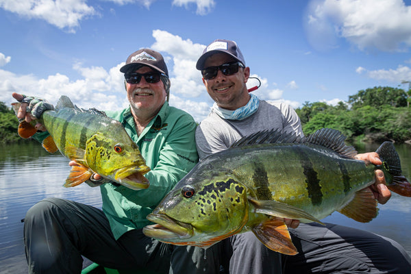 TIPS AND TRICKS FOR PEACOCK BASS IN THE AMAZON