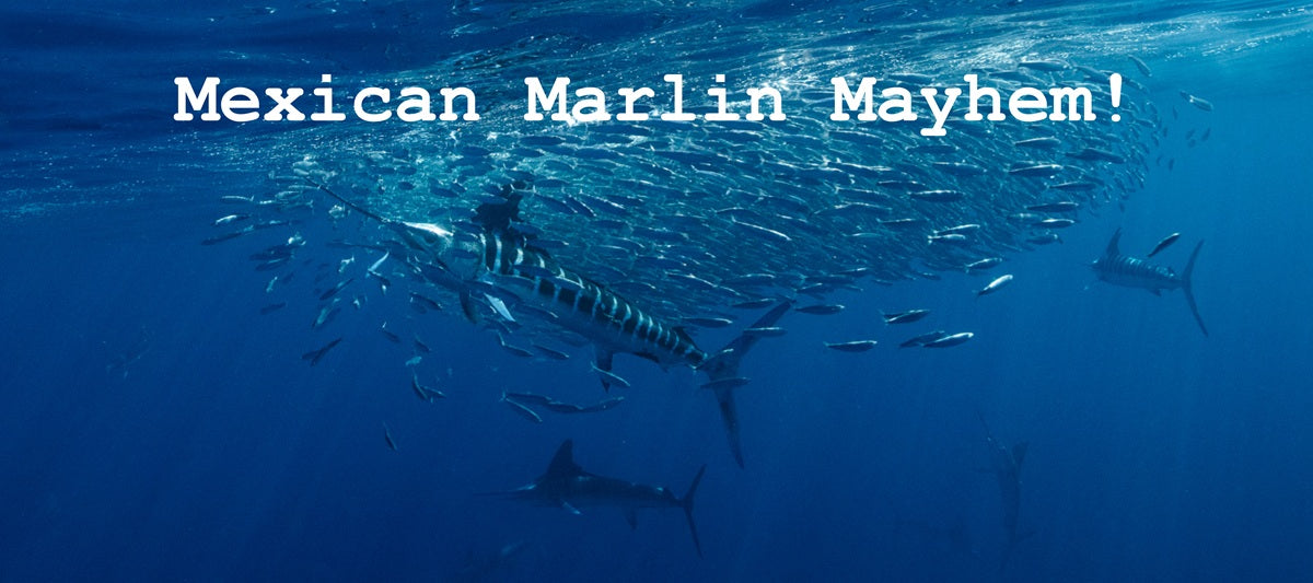 Mexican Marlin Mayhem