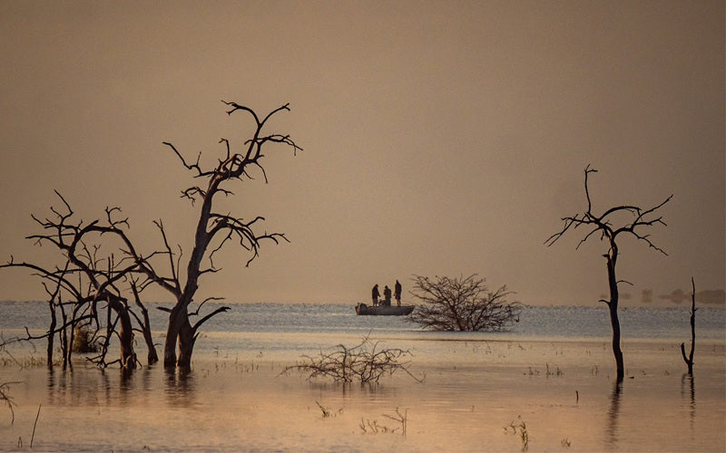 Autumn Pongola season - horrendous conditions, record numbers.