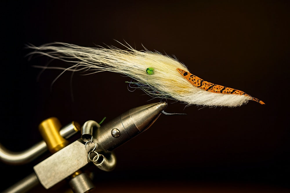 BUMPS IN THE NIGHT - WIT KAT SWIMMING PRAWN FLY SBS