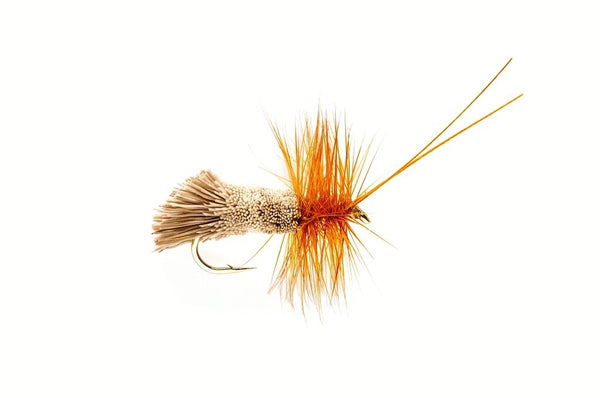 GODDARD SEDGE