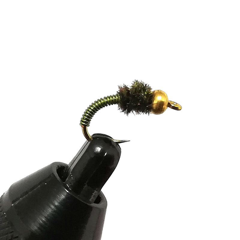 BRASSIE - OLIVE