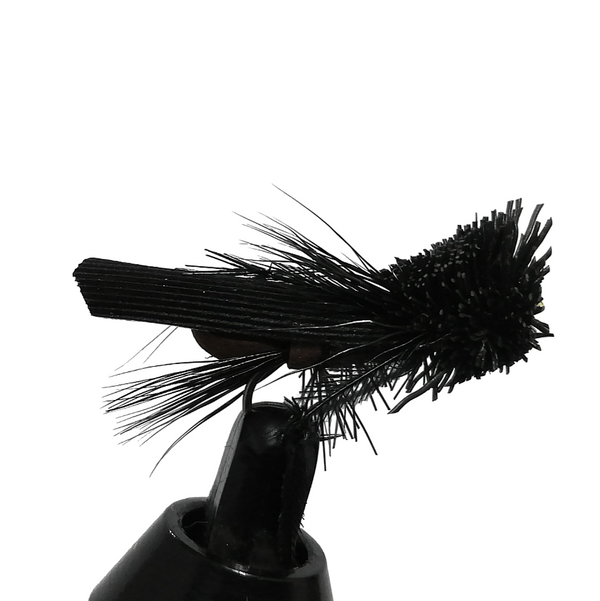 CRICKET  - BLACK
