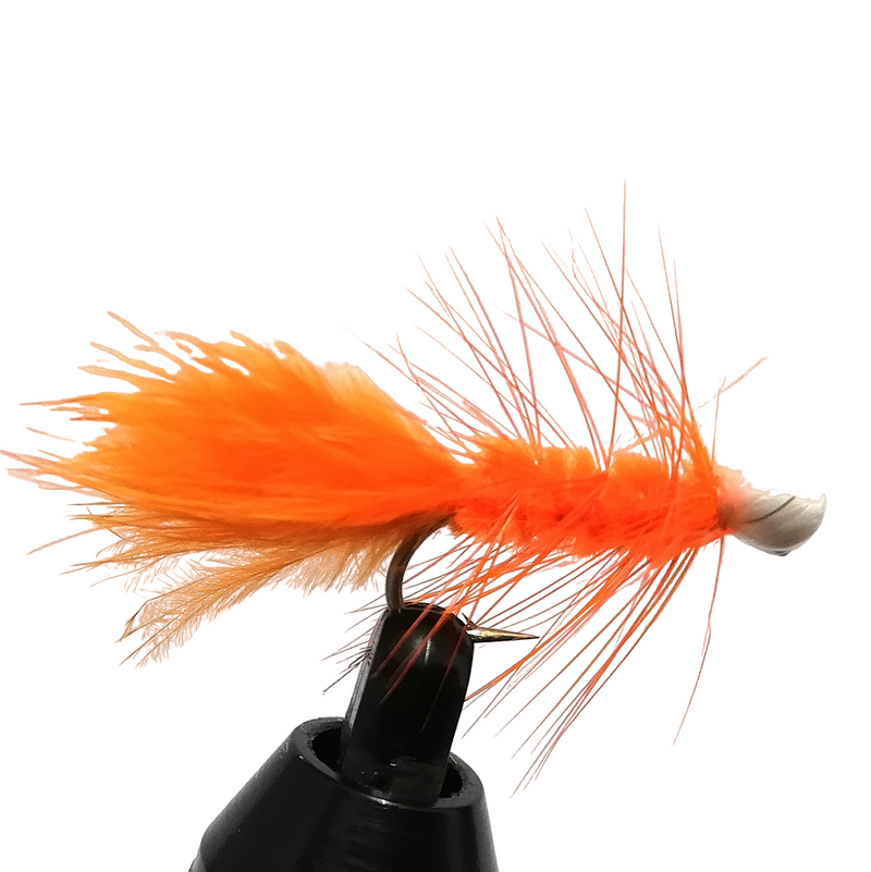 BOOBY - ORANGE