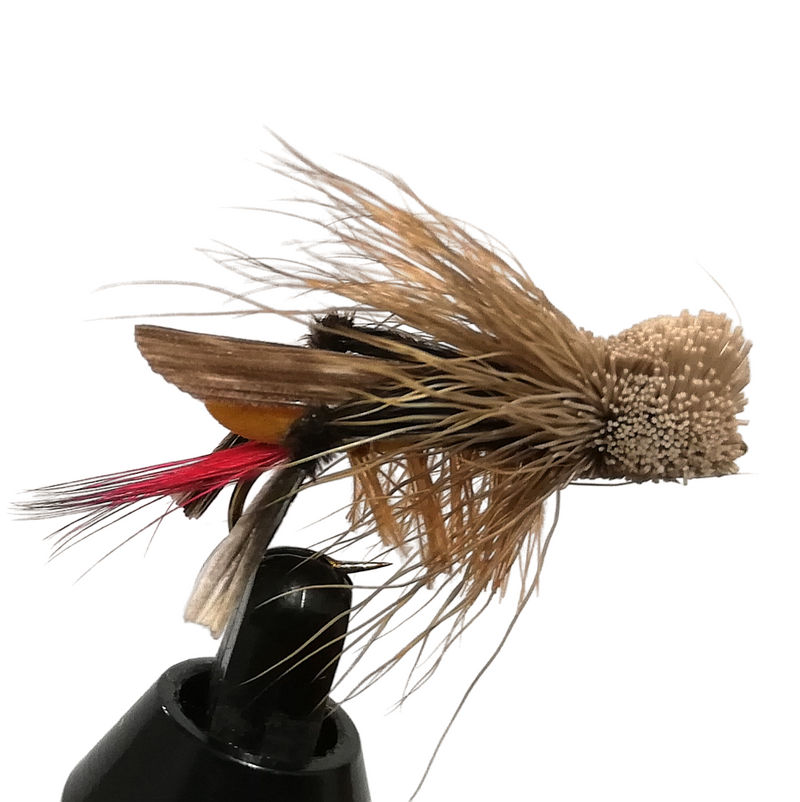 DAVE'S HOPPER