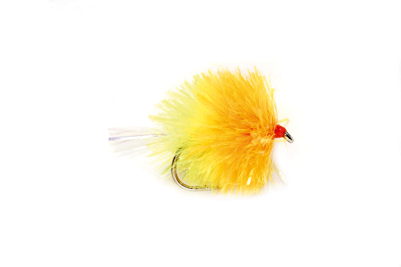 BLOB - COCTAIL SUNBURST