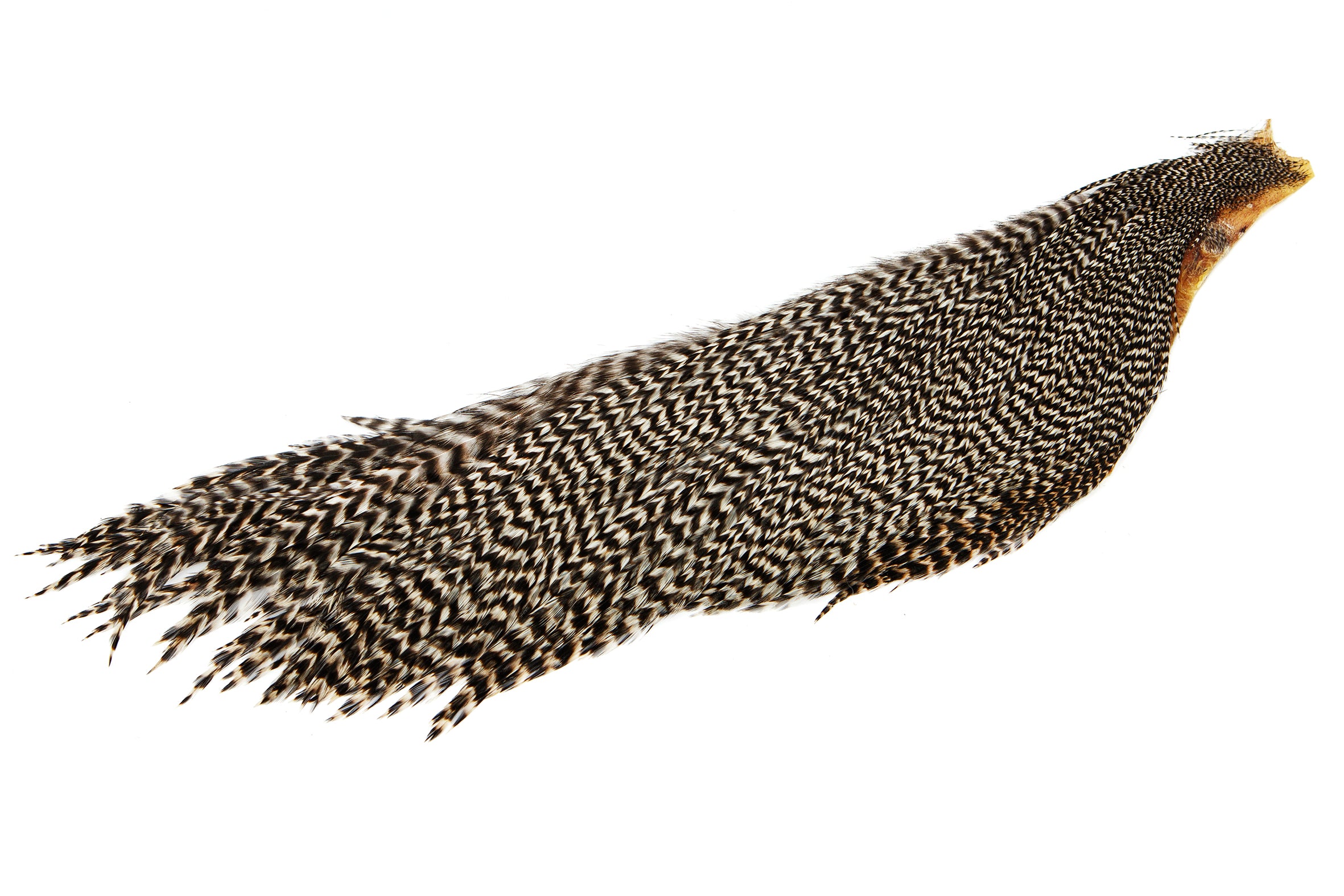 HARELINE HALF CAPE