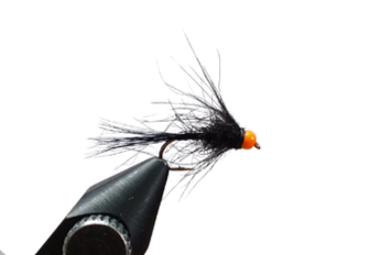 ROSIES STERKIES POISON