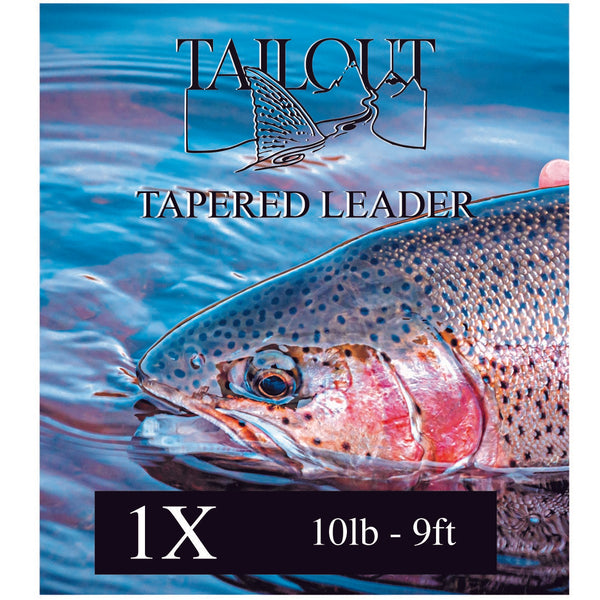 TAILOUT TAPERED LEADER