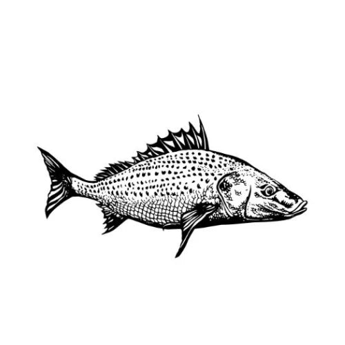 FLY REVOLUTION - GRUNTER DECAL