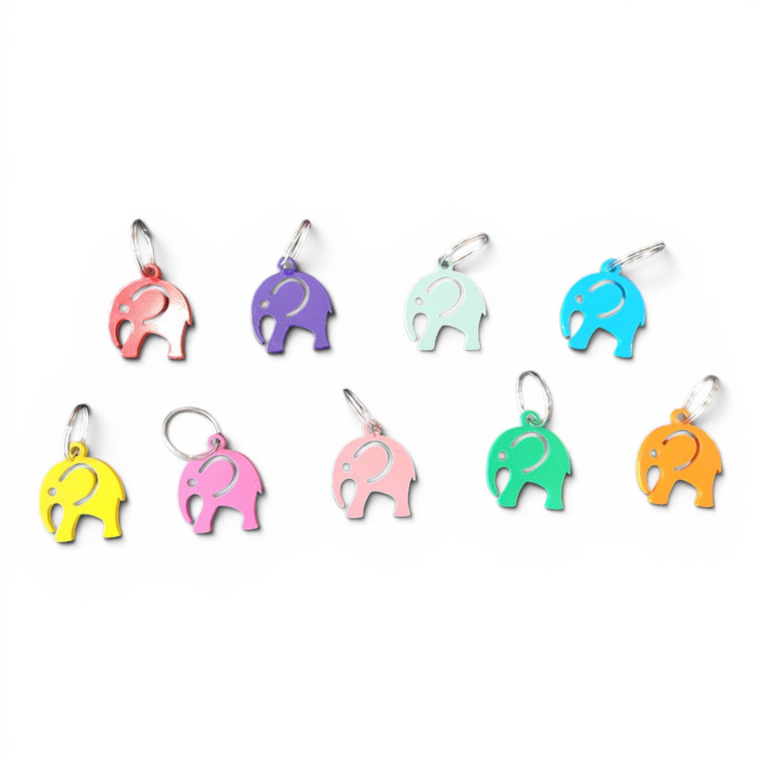 CONSERVATION KEY RING