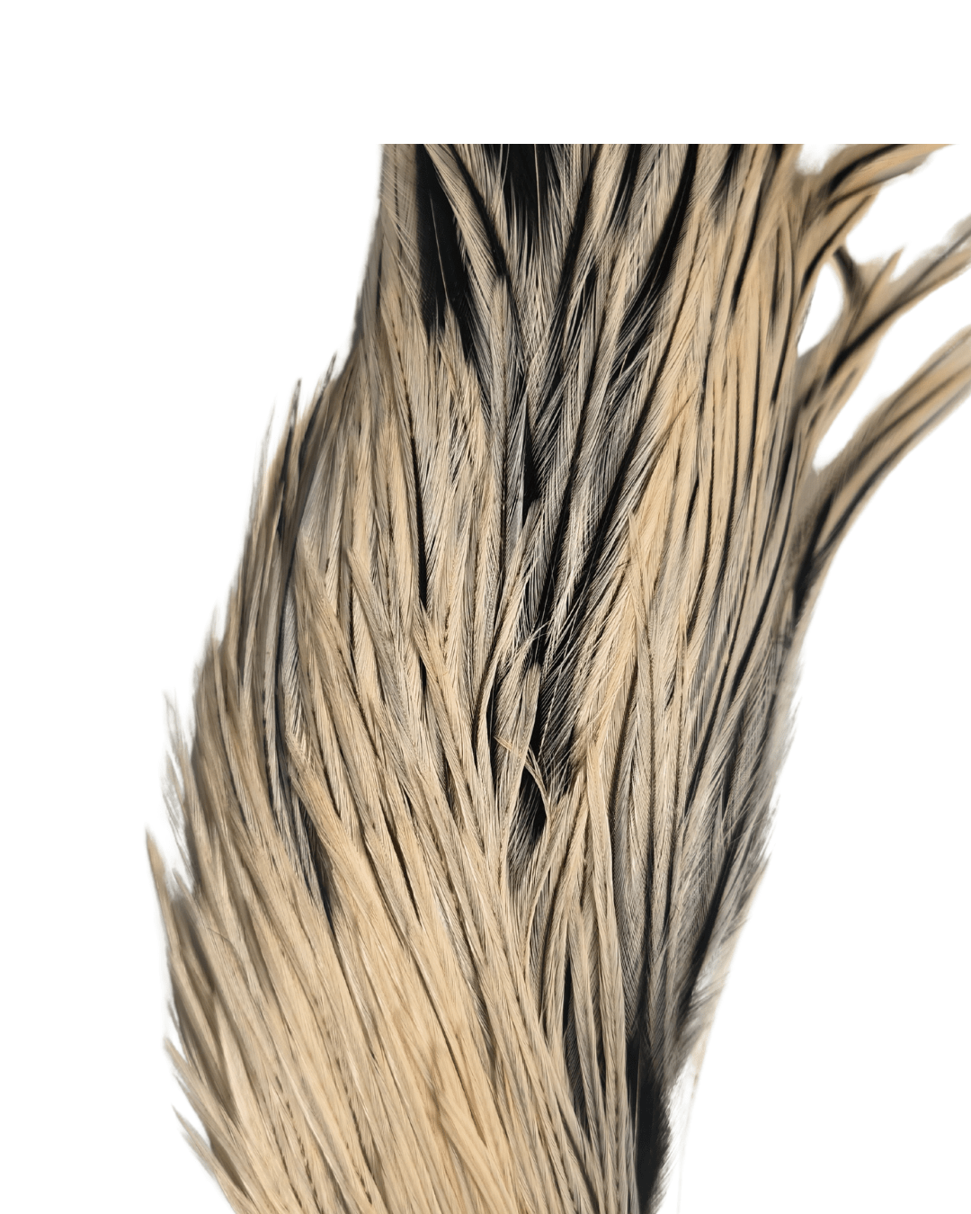 EWING DRY FLY SADDLE HACKLE