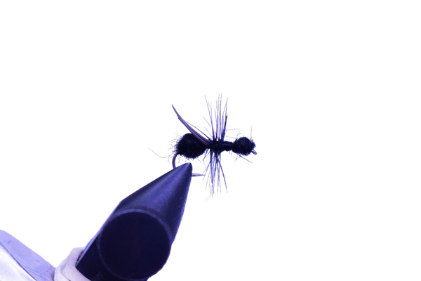 FOAM ANT - BLACK
