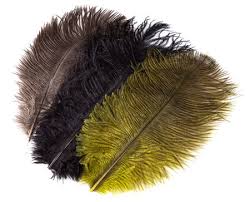 GRIP OSTRICH PLUMES