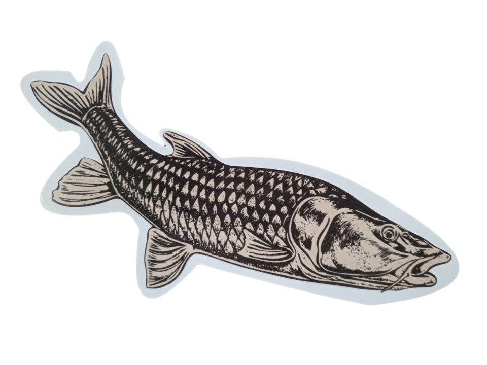 FLY REVOLUTION - LARGEMOUTH YELLOW DECAL