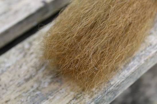 RUPERT HARVEY YAKETY YAK HAIR
