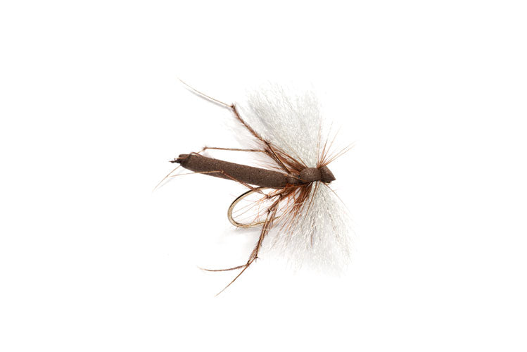 AERO DADDY - BARBLESS