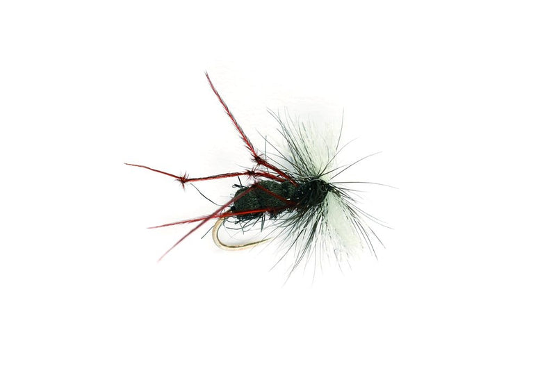AERO RED LEGS - BARBLESS