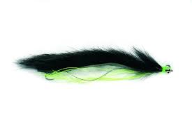 BLACK SNAKE