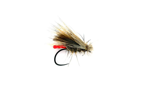 CHAMPIONSHIP CADDIS