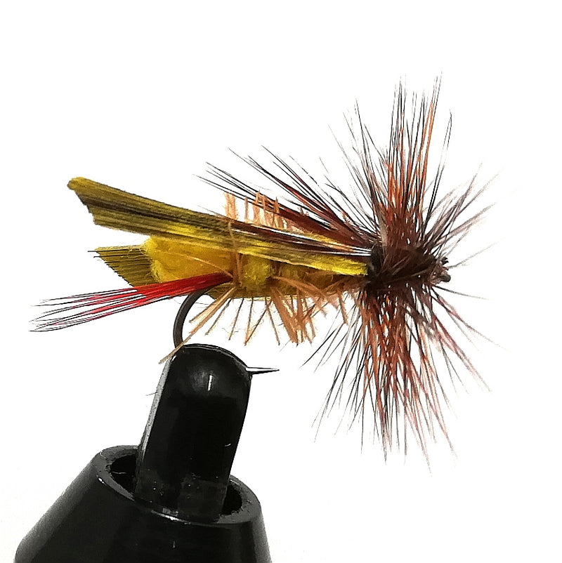 JOE'S HOPPER
